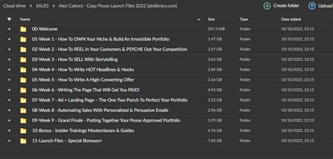 copy posse launch files.